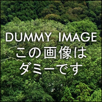 �_�~�[�摜
